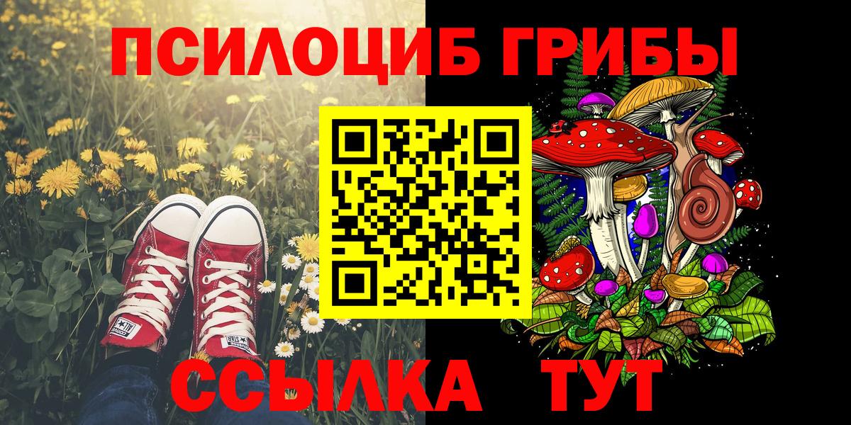 Галлюциногенные грибы GOLDEN TEACHER  Вход с VPN  Мурино 